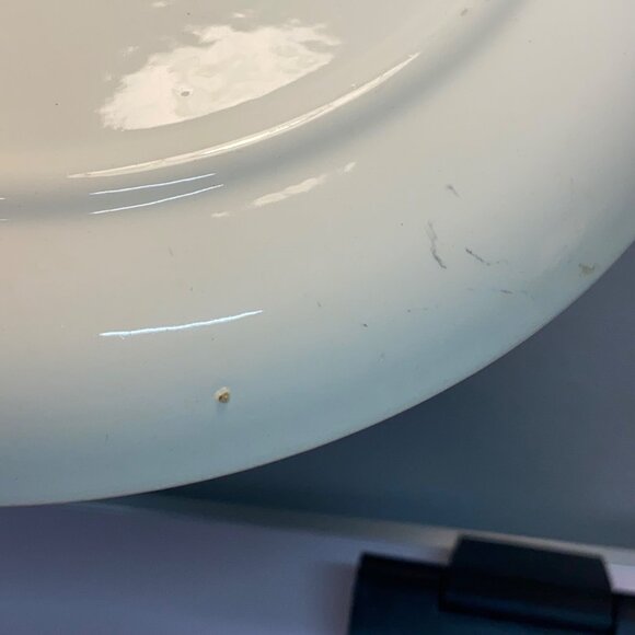 Vintage Stetson Marcrest Dinnerware Misty Pine Cone Dinner Plate 9.5" MCM Retro - Picture 12 of 12